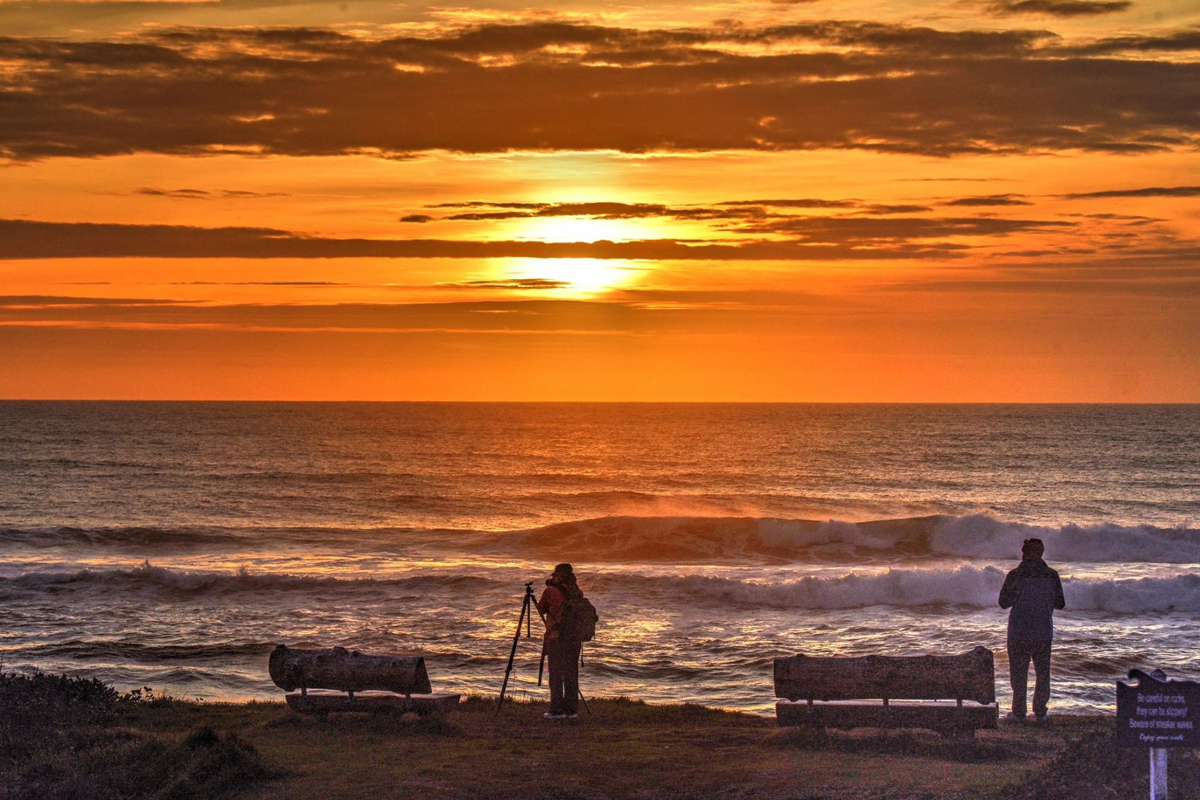 Whale watching from the 804 Trail in Yachats, Oregon