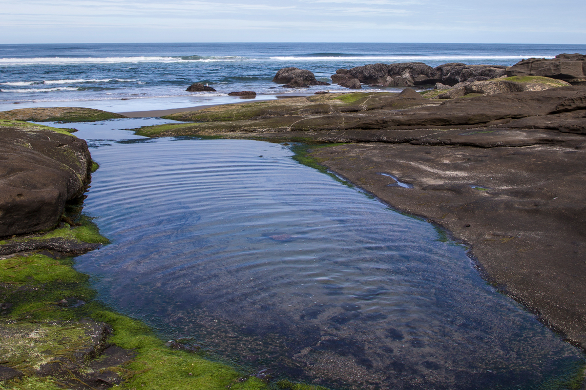Tide Pools