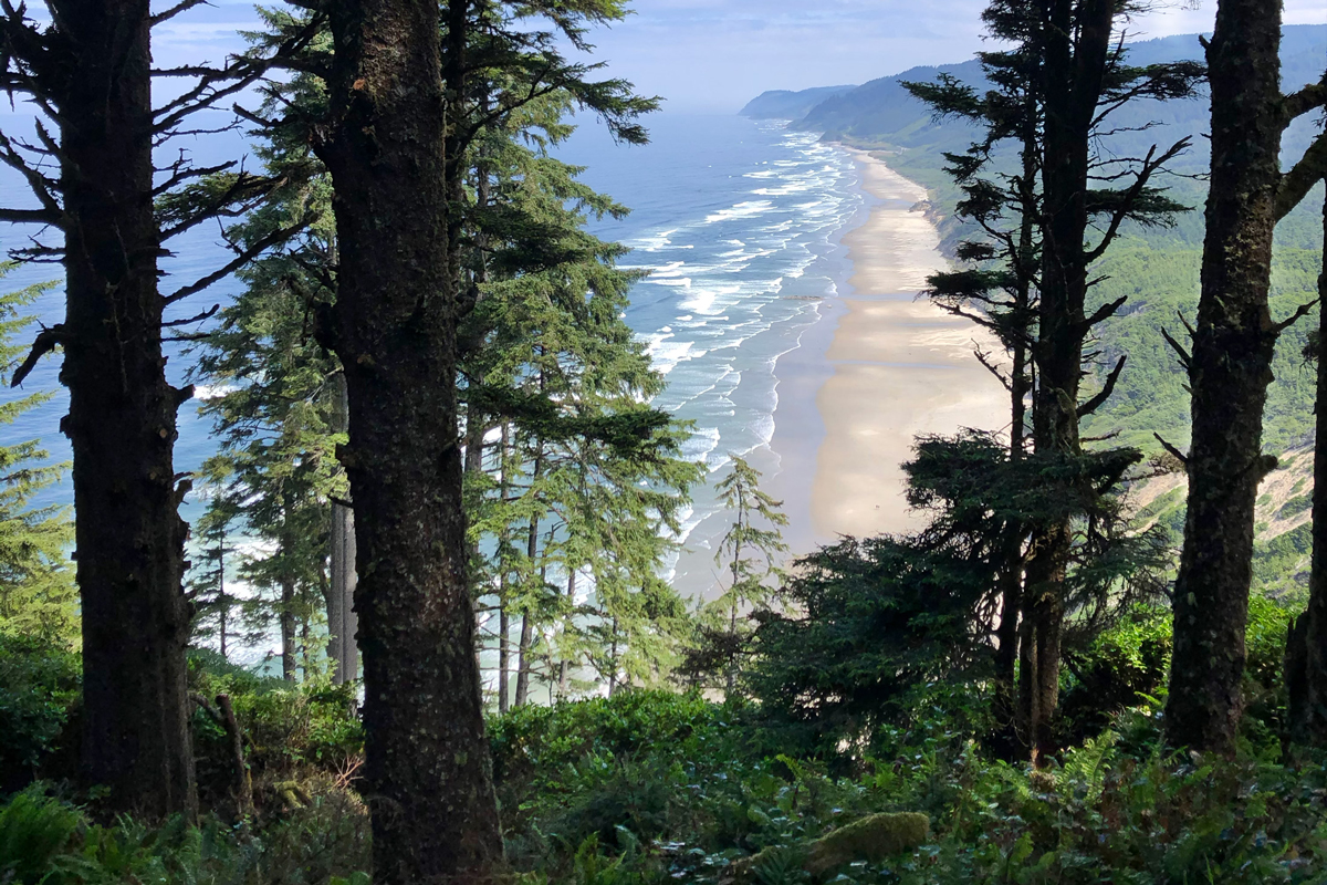 Heceta Head Trail