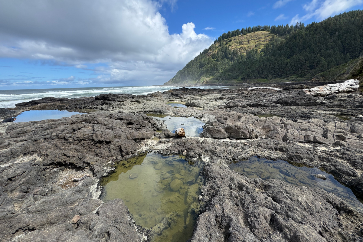 Cape Perpetua Tide Pools